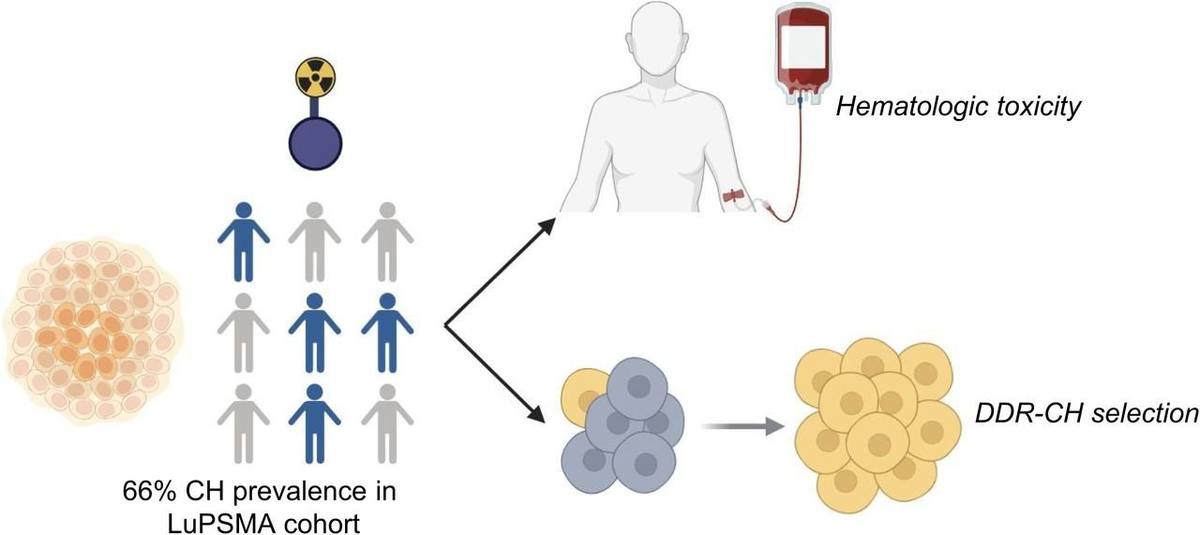 Clinical Impact and Dynamics of Clonal Hematopoiesis with 177Lu-PSMA-617 Therapy in Advanced Prostate Cancer.的论文原文Figure 1