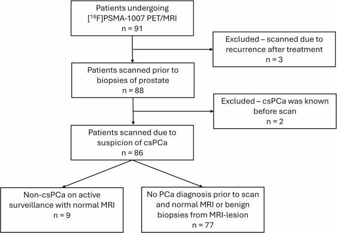 Prospective evaluation of the PRIMARY score using [18F]PSMA-1007 PET/MRI in second-line prostate biopsies after negative MRI.的原文研究流程或关键结果图