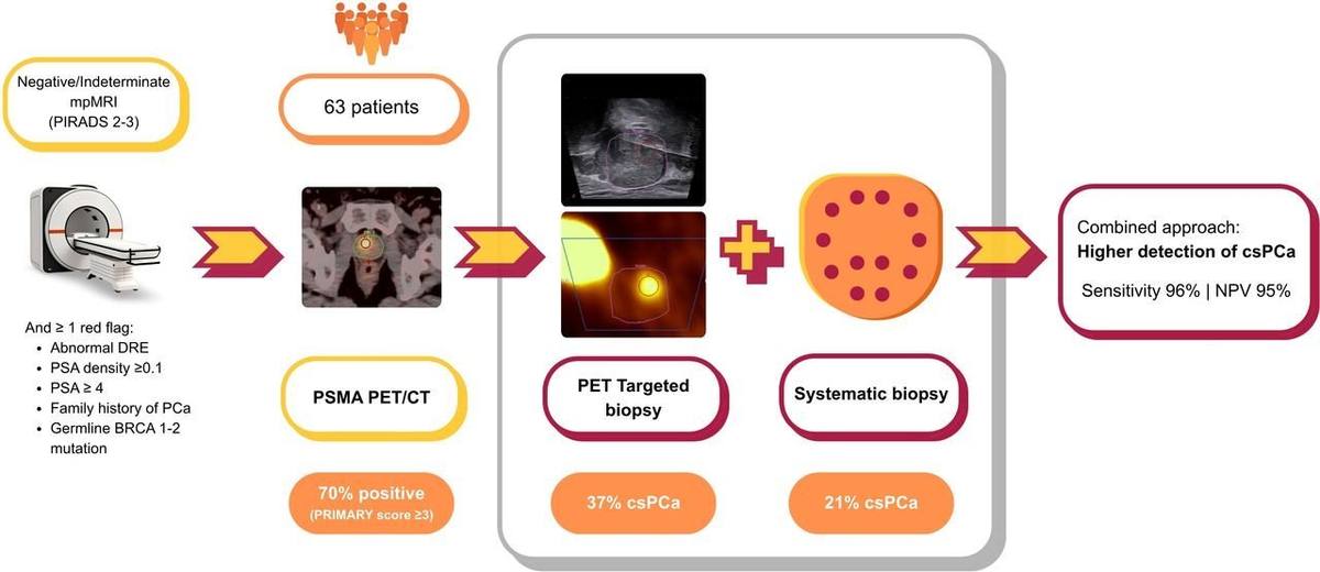 PSMA PET/CT-Targeted Biopsy in Men with Negative or Equivocal Multiparametric MRI and Exploratory Dynamic Total-Body PET: The FUPERMAN Study.的论文原文Figure 1