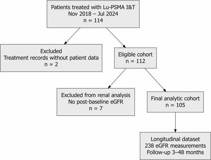 Longitudinal renal function following [¹⁷⁷Lu]Lu-PSMA I&T in metastatic castration-resistant prostate cancer.的原文研究流程或关键结果图