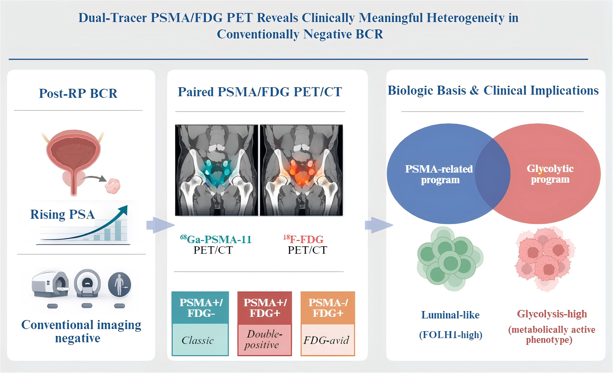 原论文Figure 1图形摘要，显示生化复发患者接受配对PSMA和FDG PET CT后按双示踪表型分层