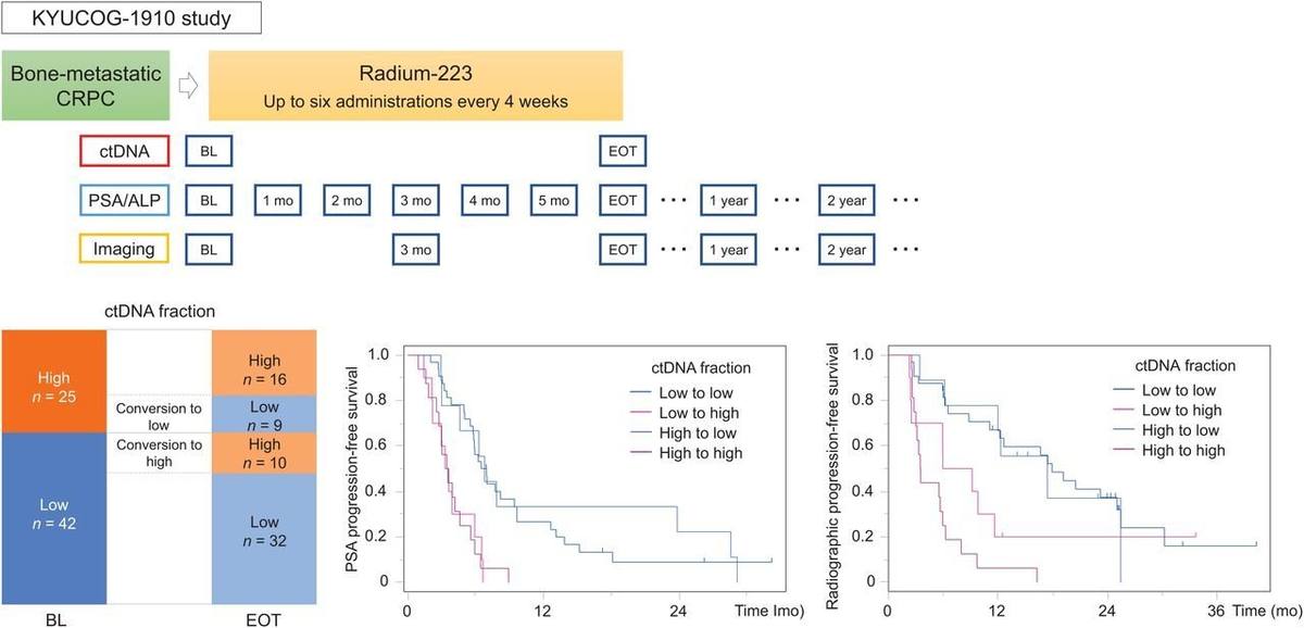 Circulating Tumor DNA Genomic Profiling in 223Ra-Treated Metastatic Castration-Resistant Prostate Cancer: The KYUCOG-1901 Study.的论文原文Figure 1